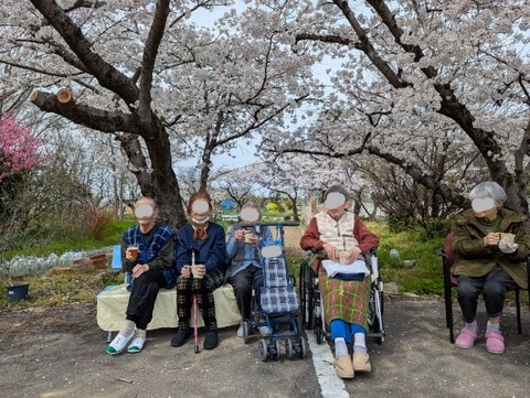 PXL_20250405_051001246