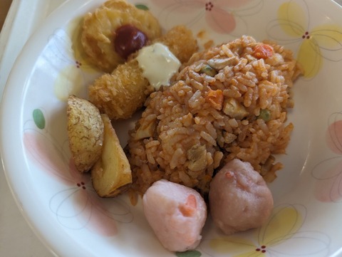 PXL_20240504_024944846