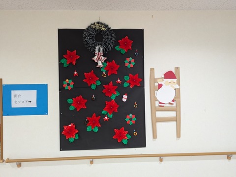 PXL_20241210_213747741