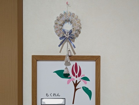 PXL_20241210_213735984