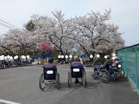 PXL_20250405_053445770