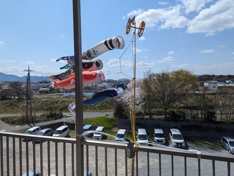 PXL_20250404_050937119.MP