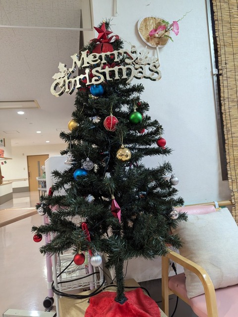 PXL_20241210_213659556