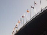 アラフェス
