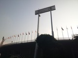 アラフェス