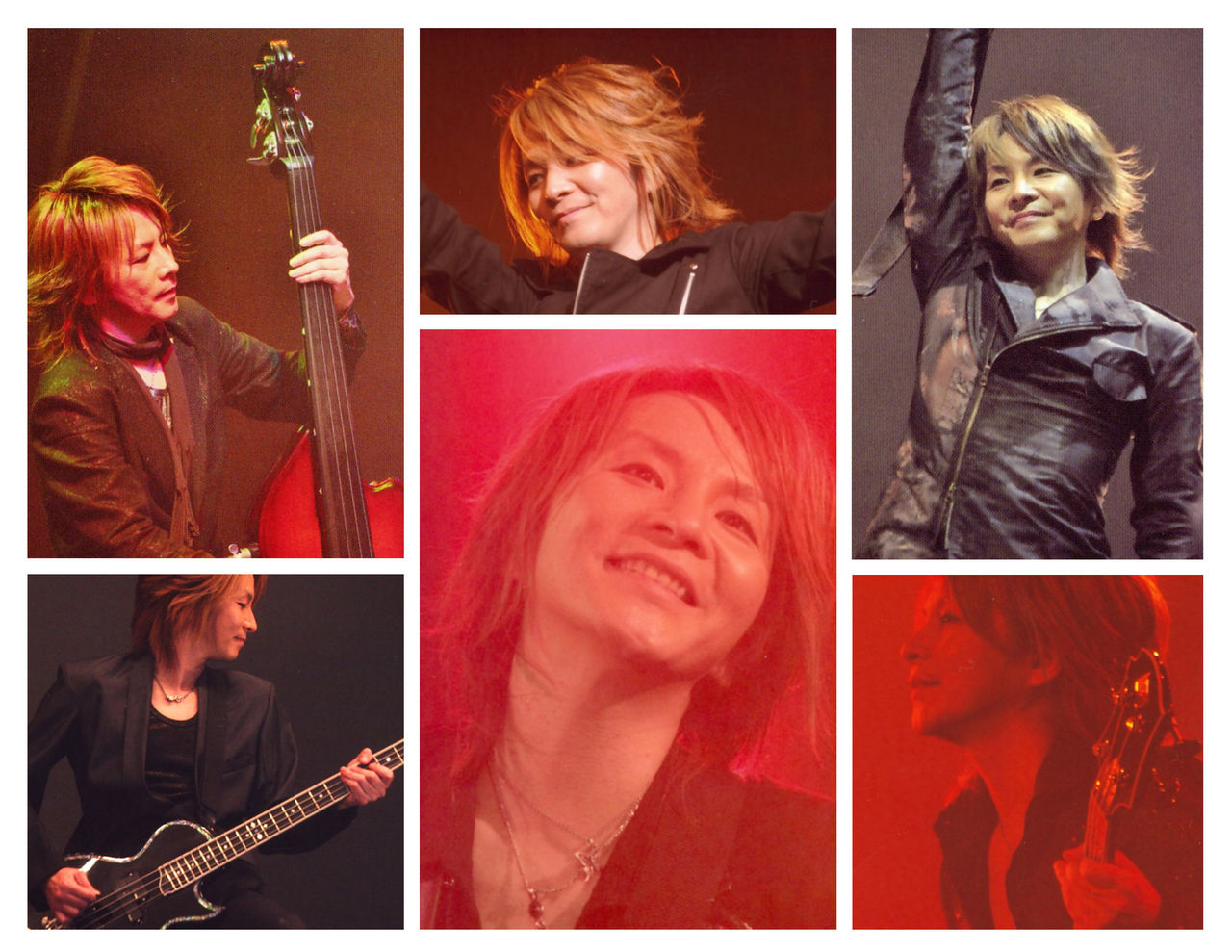 桜の樹の下には