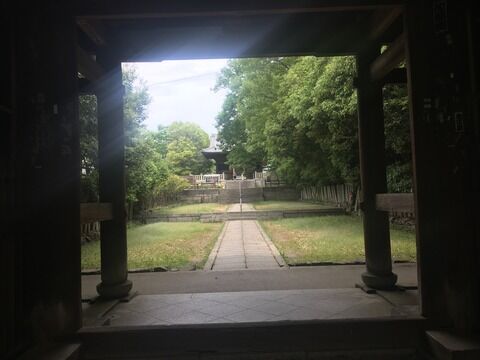 2019-05-18 12.06.20 HDR