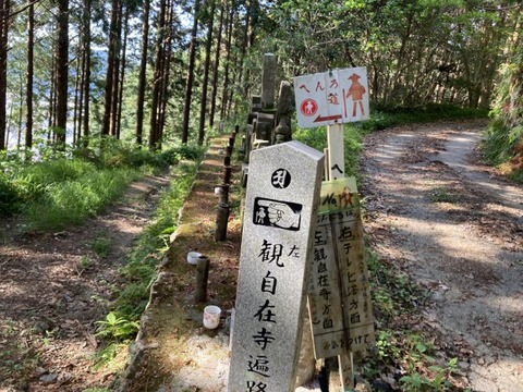 IMG_4545(1)