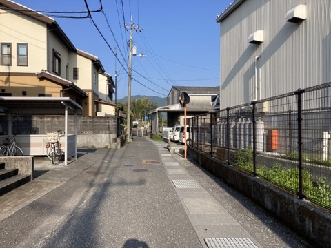 IMG_3782(1)