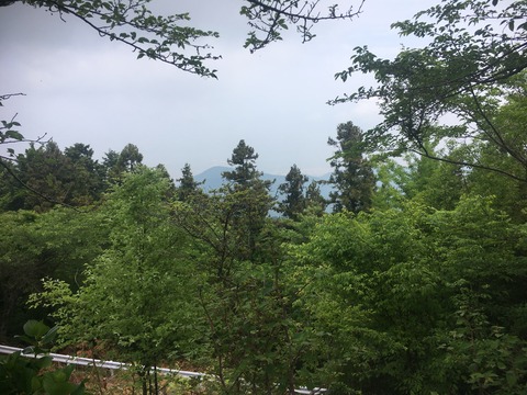11a02262.jpg