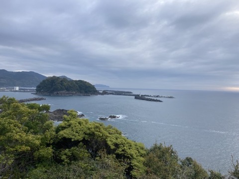 IMG_4131(1)