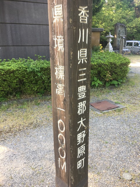 2d917f69.jpg
