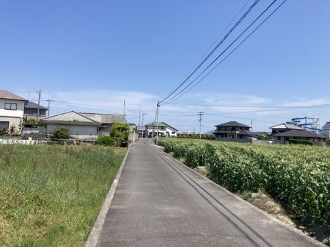 IMG_6234(1)
