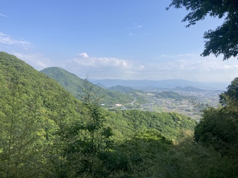 IMG_6168(1)