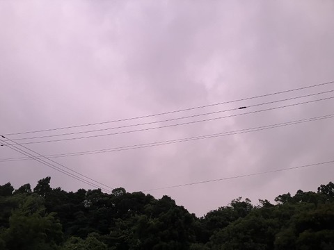 IMG_0024