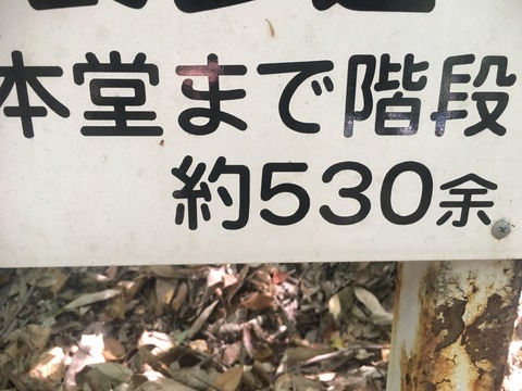 4fac4233.jpg