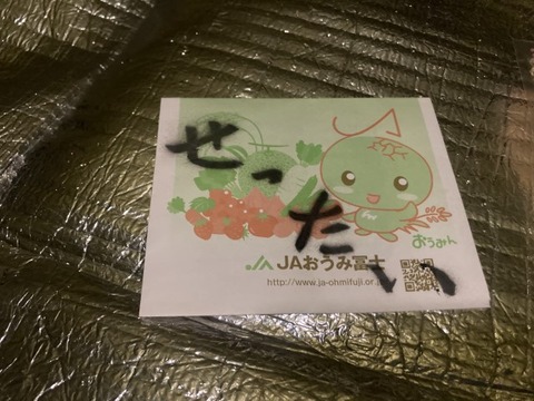 IMG_2205(1)