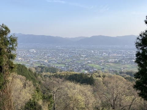 IMG_3045