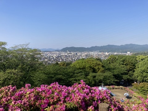 IMG_5875(1)