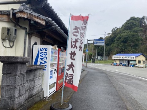 IMG_2941(1)