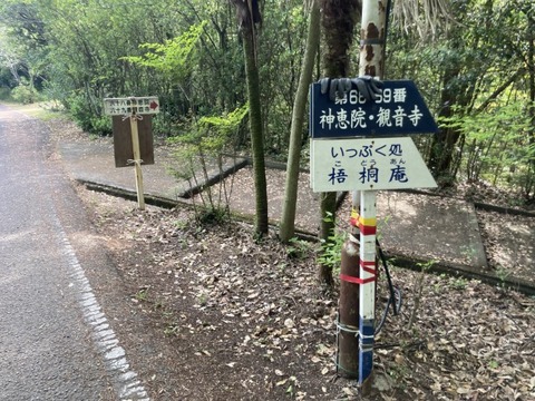 IMG_6122(1)