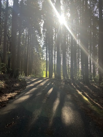 IMG_7123