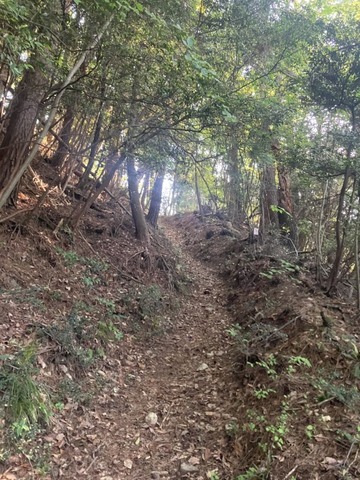 IMG_7118
