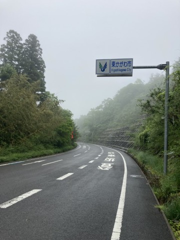 IMG_6774