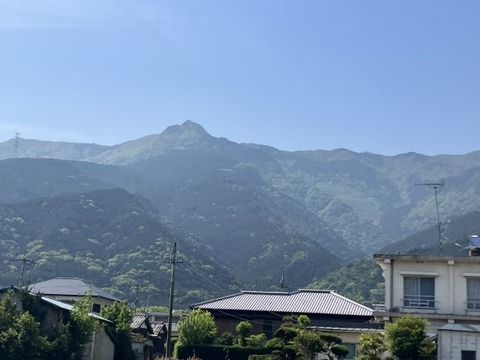 IMG_6970