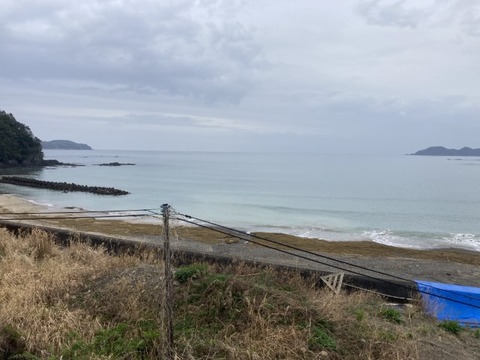IMG_2935(1)