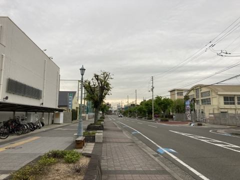 IMG_5511(1)