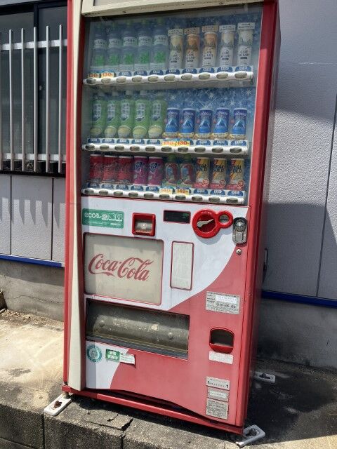IMG_7745