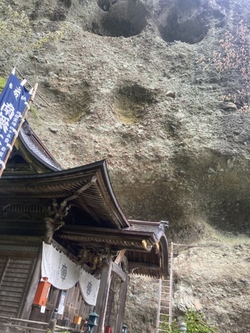 IMG_5140(1)