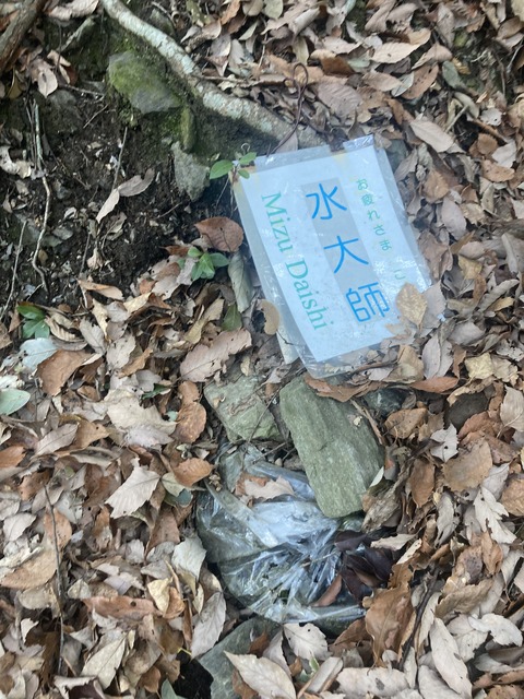 2021-03-23 08.46.53