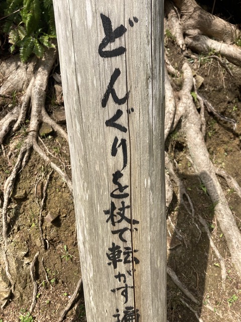 2021-03-30 09.44.49