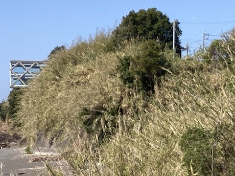 IMG_3510(1)