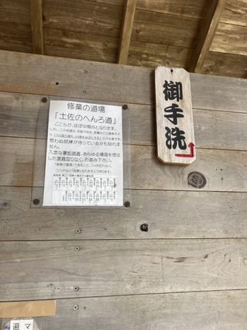 IMG_3882(1)