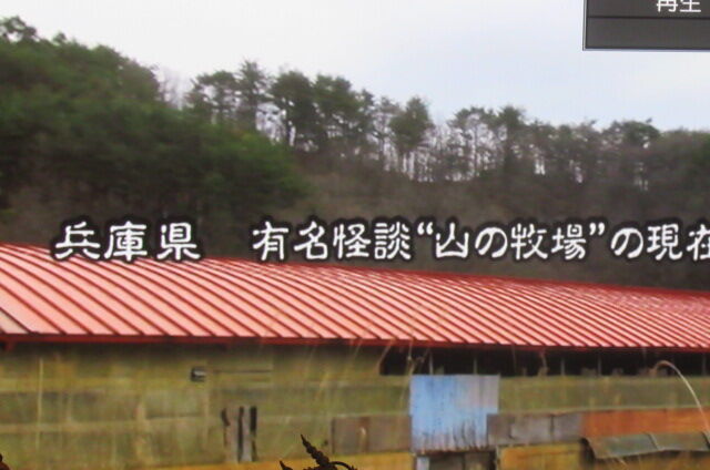お宝発見 11年前のムック本 恐い地図 山の牧場ロケのdvd付き 中山市朗ブログ お宝発見 11年前のムック本 恐い地図 山の牧場ロケのdvd付き 中山市朗ブログ