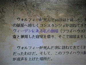 フライハウス1 (2)