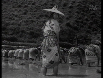 ���ͤλ����֤�