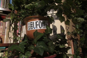 UFO怪談植木鉢a