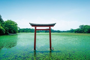 komojinjya2