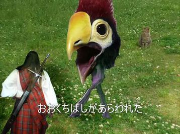 おおくちばし