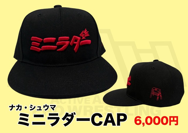 �ʥ����奦��CAP