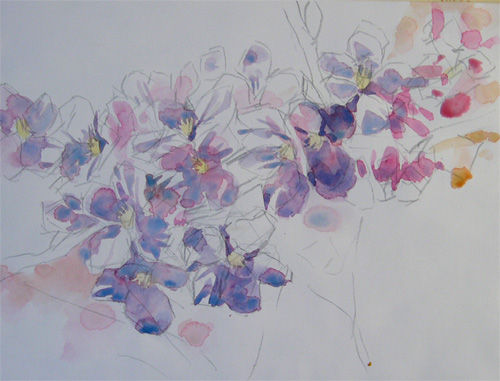 水彩画の描き方 桜 その２ おさむの透明水彩画教室 Osamu S Watercolor Class
