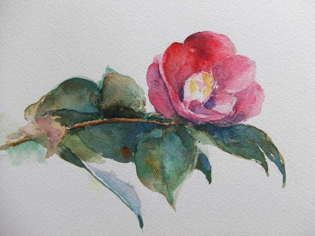 水彩画「椿」 Amazon.co.jp: 水彩画 椿 絵画 冬の絵 ホワイトワトソン紙