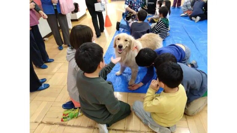学校飼育動物の現状と課題—消えゆく小学校の飼育小屋