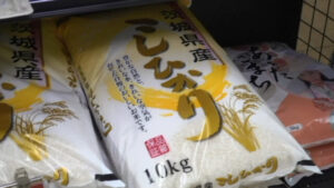 韓国人「また日本人のせいで