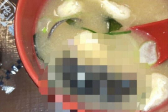 韓国人「日本の食堂は害虫が出るのは当たり前だね」...すき家の一連騒動で韓国人からも相次ぐ"害虫経験談"