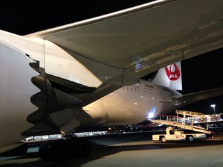 24回目のシンガポール--日本航空「JL035」便